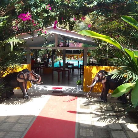 La Perla Bentota Hotel Екстериор снимка