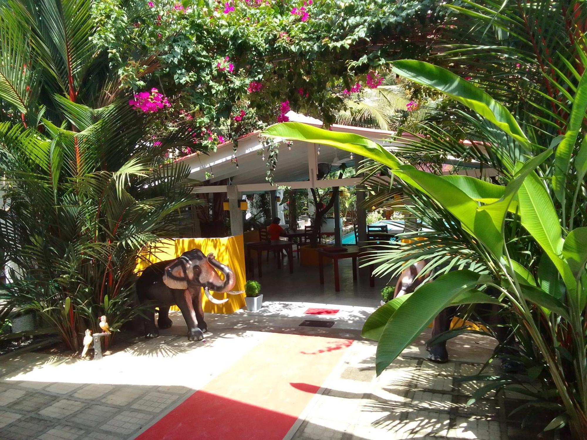 La Perla Bentota Hotel Екстериор снимка