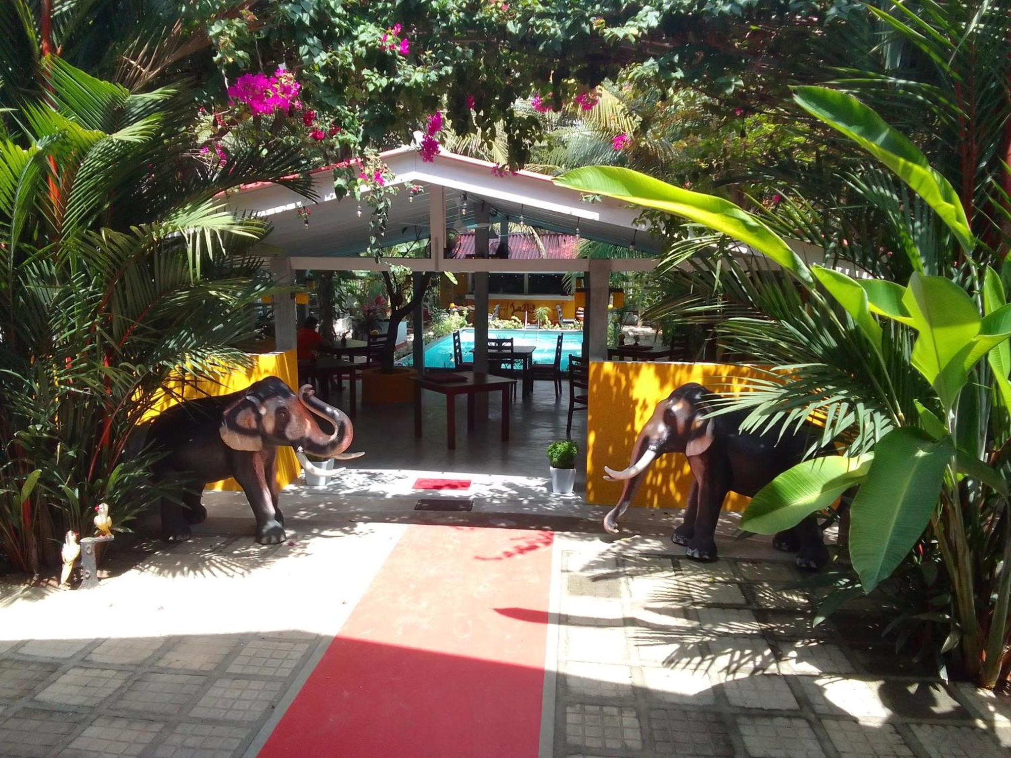 La Perla Bentota Hotel Екстериор снимка